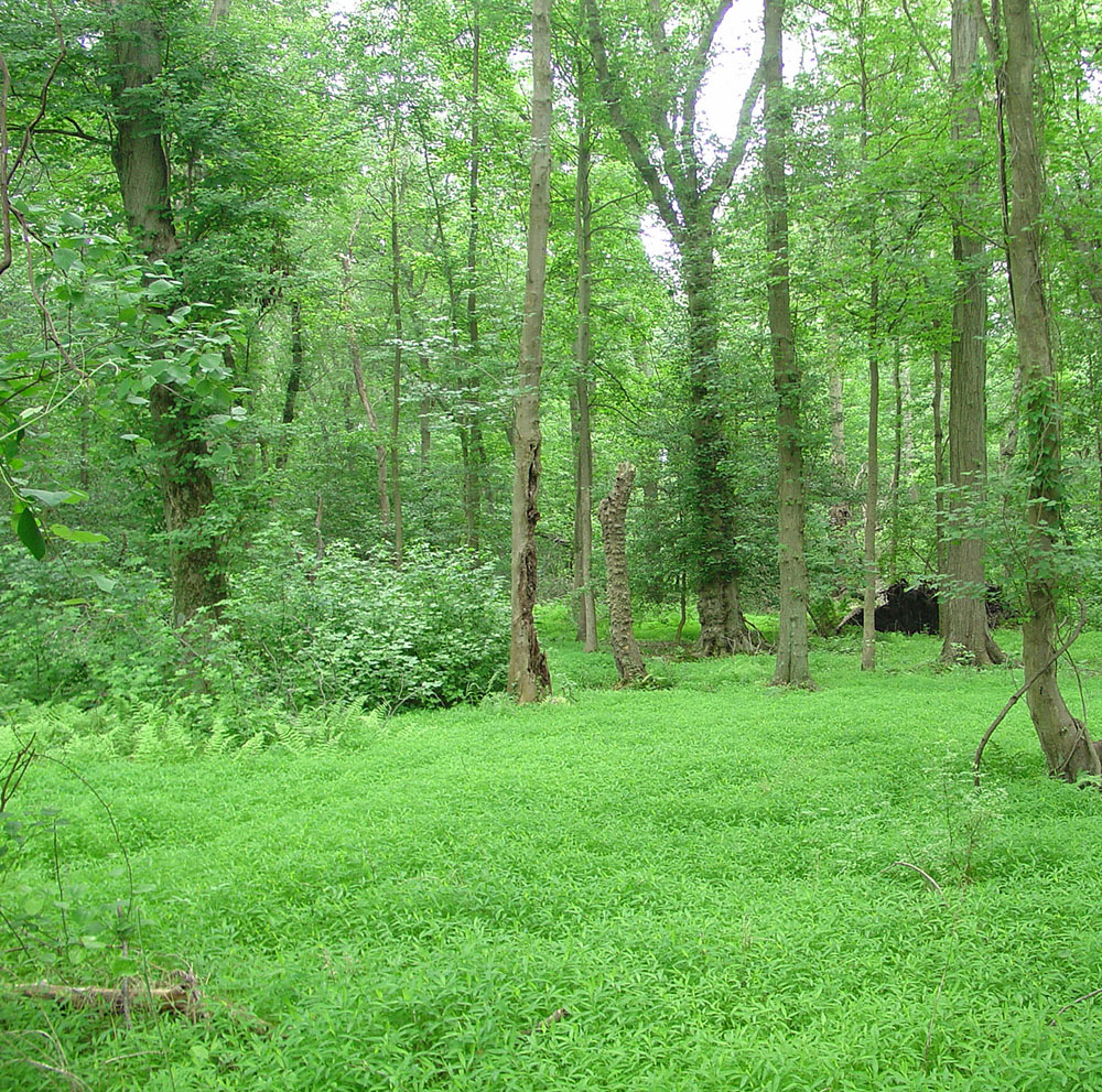 Natural Lands Trust Fund Ocean County Planning Board